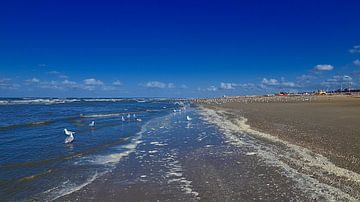 Vloedlijn strand van Peter van Rijn