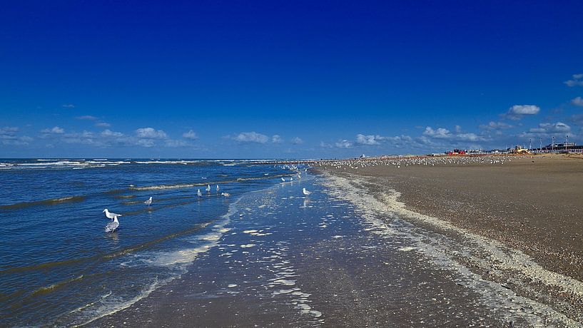 Tide line beach by Peter van Rijn