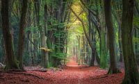 Speuldersbos