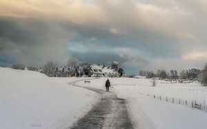 Wandeling in een winters schilderij