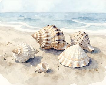 Schelpen aan de kust