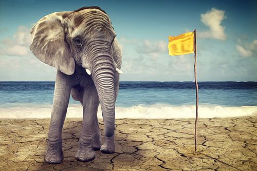 Elefant am Meer von AD DESIGN Photo & PhotoArt