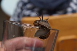 Schlacke über Glas von wil spijker