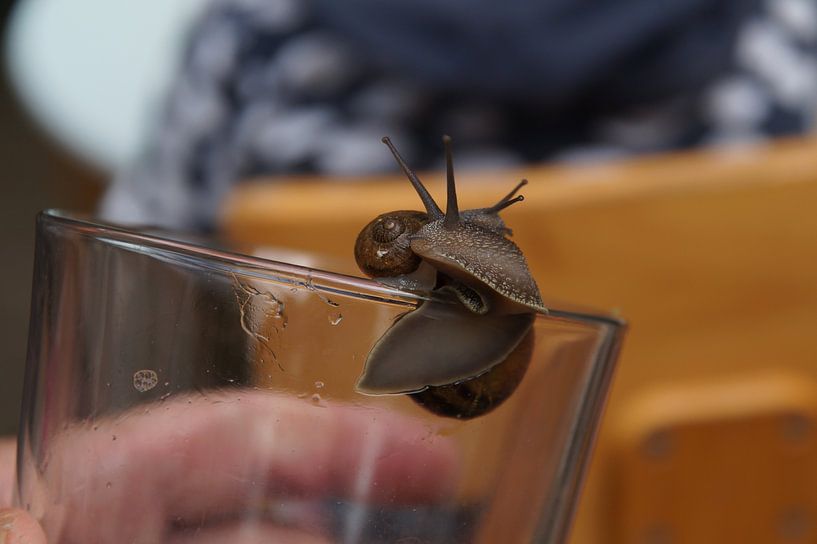 Schlacke über Glas von wil spijker