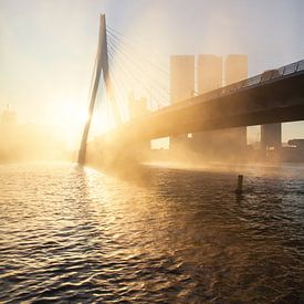 Matinée brumeuse à Rotterdam sur Gijs Koole