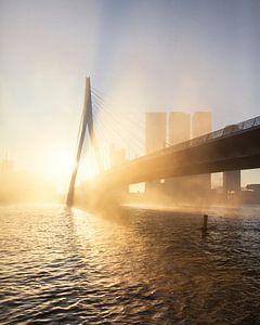 Mistige morgen in Rotterdam van Gijs Koole