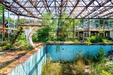 Verlassenes Schwimmbad, überwuchert von Pflanzen. von Roman Robroek