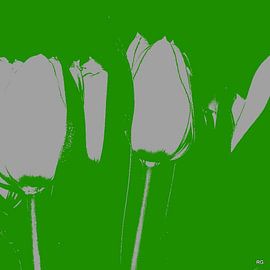 GROEN by Ruud V D Kuil