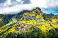 Bloemen in de bergen op Madeira van Michel van Kooten thumbnail