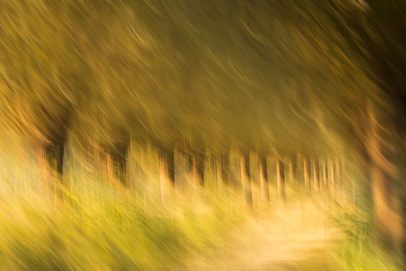 Herbst im Park von Ingrid Van Damme fotografie