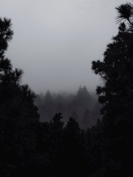 From the darkness by Joren van den Bos