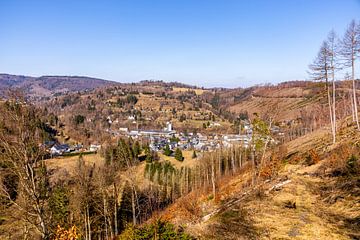 Een lentewandeling door het prachtige Thüringer Woud bij Steinach in het district Sonneberg - Thüringen - Duitsland van Oliver Hlavaty