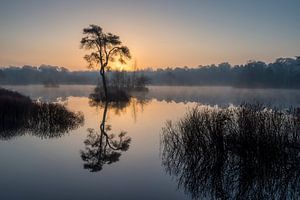 Zonsopkomst bij de Oisterwijkse Vennen van Raoul Baart