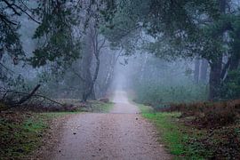 holprige Straße von Mariëlle Weijsenfeld