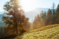 Österreich Alpen von Frank Peters Miniaturansicht