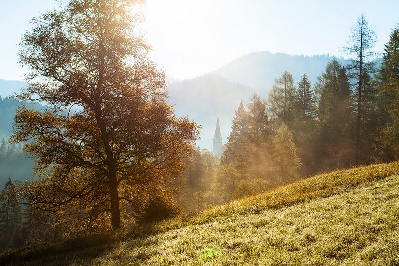 Österreich Alpen von Frank Peters