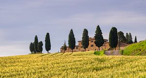 Farmhouse Genna Borborini Maria Eva - Val d'Orcia I van Teun Ruijters