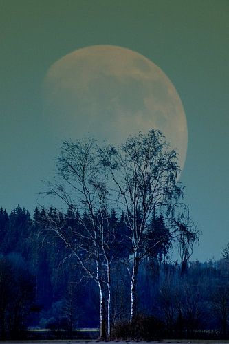 Concept landscape : Moon behind a tree