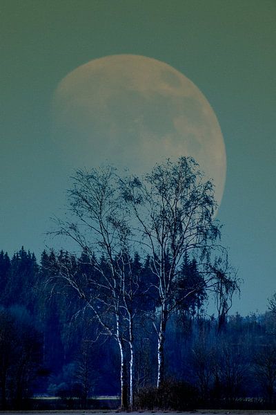 Concept landscape : Moon behind a tree van Michael Nägele