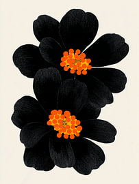 Auffällige, minimalistische, moderne schwarze und orangefarbene Blumen von IamHomeStudio