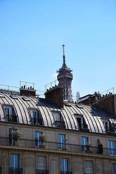 Oui Paris by Ingrid de Vos - Boom