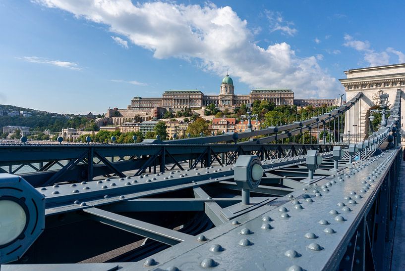 Panoramablick auf die Budapester Burg mit der Kettenbrücke in Ungarn von Animaflora PicsStock