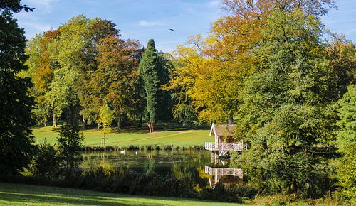 Weerspiegeling in de herfst