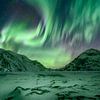 Lofoten Aurora van Peter Poppe