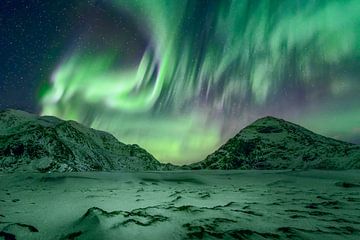 Lofoten Aurora by Peter Poppe