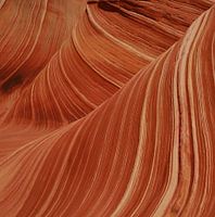 The Wave