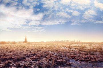 Winter in Friesland van Michelle Zwakhalen