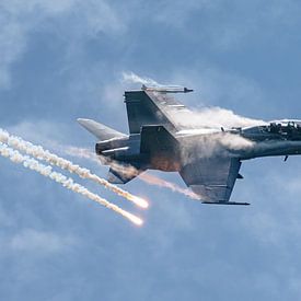 Maleisische F/A-18D Hornet tijdens LIMA 2025. van Jaap van den Berg