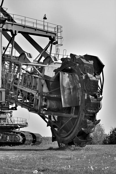 Former coal excavator in the former Golpa-Nord open-cast mine near Gräfenhainichen by Heiko Kueverling