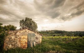 Toscane by Dennis Van Donzel