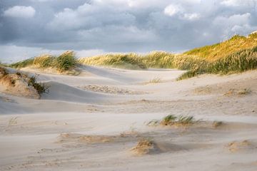 Dans les dunes sur Annett Mirsberger
