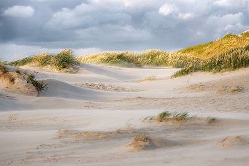 In the dunes by Annett Mirsberger
