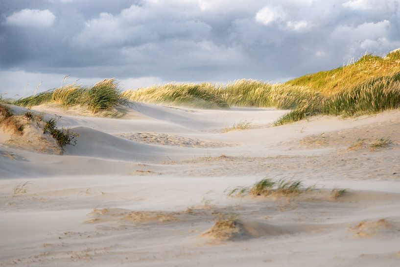 In de duinen van Annett Mirsberger