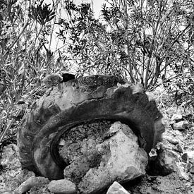 Autoreifen im Verfall in Schwarz und Weiß von Greta Lipman