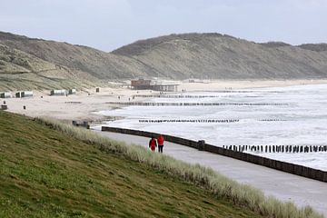 Strand Zoutelande van MSP Canvas