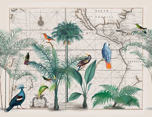 South Seas adventure by Andrea Haase