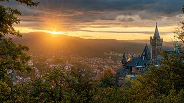 Harzer Goldstunde: Schloss Wernigerode und der Brocken im Abendlicht von Christian Möller Jork