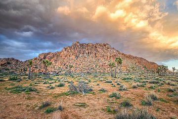 Joshua Tree National Park - Dramatische zonsondergang van Joseph S Giacalone Photography