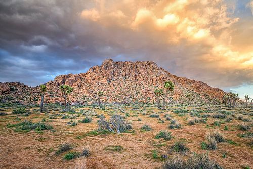 Parc national de Joshua Tree - Coucher de soleil spectaculaire
