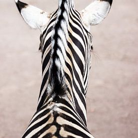 Portret van een zebra van Devin Meijer