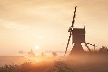 Aufwachen von Halma Fotografie