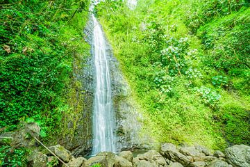 Wasserfall in Hawaii von Barbara Riedel