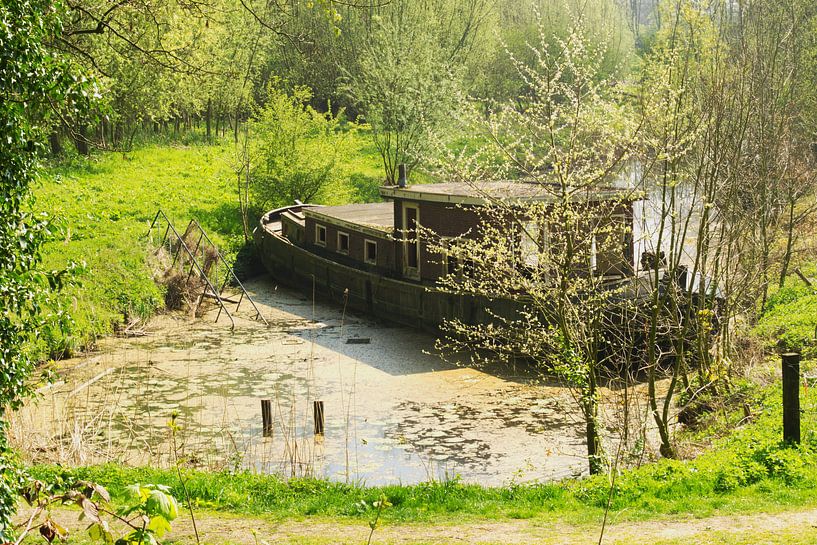 Woonark in verlaten sloot op landgoed van tiny brok