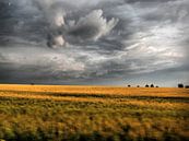 Sommer im Weinviertel IV  van Ilona Picha-Höberth thumbnail