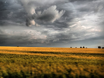 Sommer im Weinviertel IV 