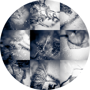 Frozen Collage I van Rob van der Pijll